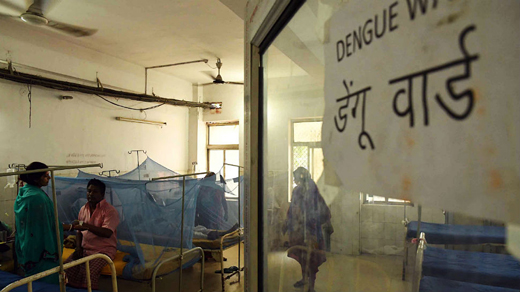 dengue16oct19